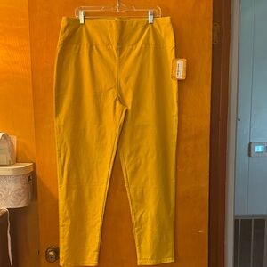Hybrid & Company Mustard Yellow Ankle Pants